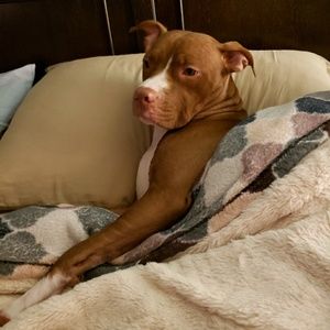 Meet your Posher, Jenny